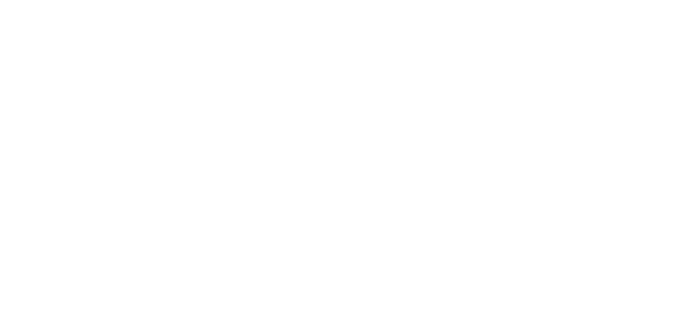 Ameristar Windows Logo Footer