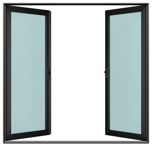 Swing Door